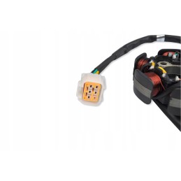 Igniter 6 coils stator Beretta 150cc