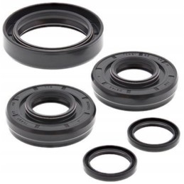 Honda Trx 500 Fourtr differential repair kit