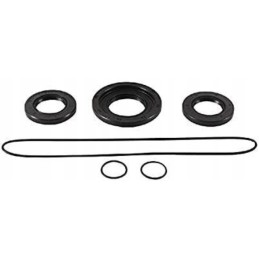 Can am renegade 570 differential repair kit