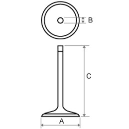 Yamaha YBR 125 exhaust valve