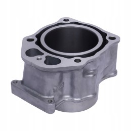 Cylinder set honda trx 500 oem 12100 hr0 f00