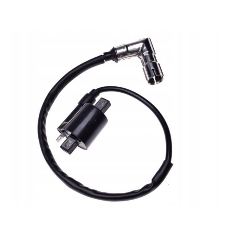 Ignition coil quad 150 200 250 bashan eafle