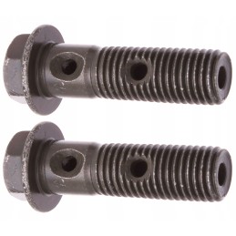 Bolt, end of the brake pump, caliper pump, long 10x1 25mm 2x