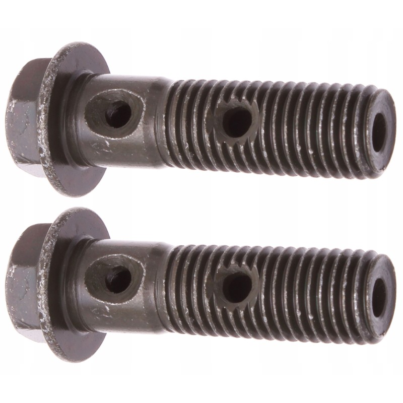 Bolt, end of the brake pump, caliper pump, long 10x1 25mm 2x