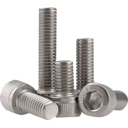 Head screws SS A4 80 10 pcs