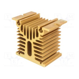 1 pcs x ANLY ELECTRONICS - HS-070-50 - Heatsink: extruded, Y, golden, L: 50mm, W: 80mm, H: 70mm, aluminium