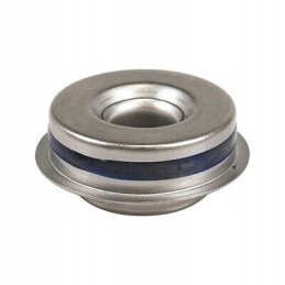 Can am brp 500 650 800 1000 water pump seal 420650370