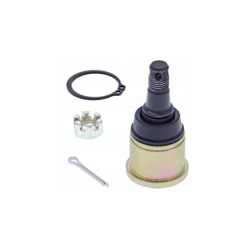 Lower wishbone pin yamaha yfm 250 big