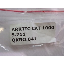 Arctic cat 1000 sucking trout