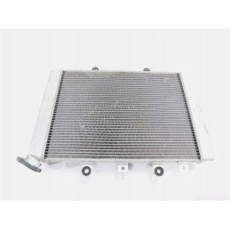 Water cooler yamaha yfm 700 550 grizzly 1hpe24600000