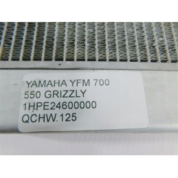 Water cooler yamaha yfm 700 550 grizzly 1hpe24600000
