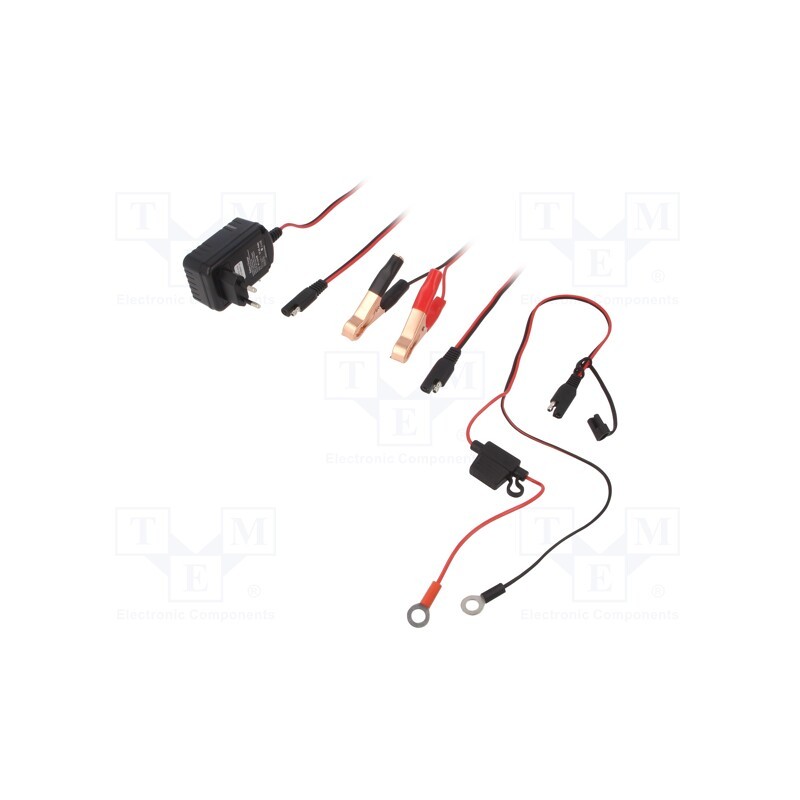 1 pcs x Everpower - EPA1020-075 - Charger: for rechargeable batteries, acid-lead,gel, 12V, 750mA