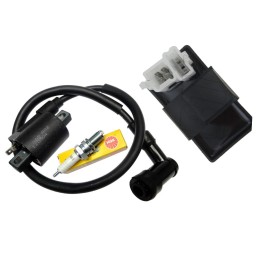 Coil module, spark plug, atv quad bashan eagle