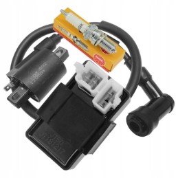 Coil module, spark plug, atv quad bashan eagle