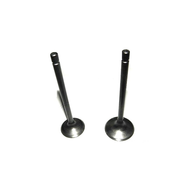Intake valves and exhaust atv 200cc for quad bike