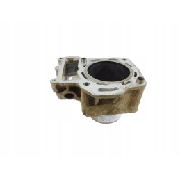 Cylinder cylinders Kawasaki KVF 650 Brute Force 11005 1918