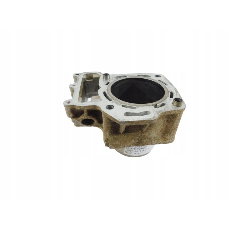Cylinder cylinders Kawasaki KVF 650 Brute Force 11005 1918