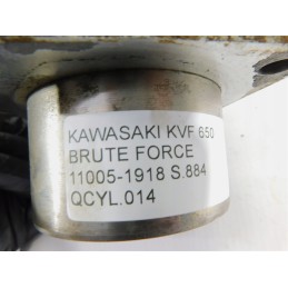 Cylinder cylinders Kawasaki KVF 650 Brute Force 11005 1918