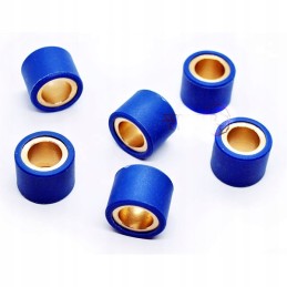 Variator rollers 23x18 mm 20 g dinli dl801 802 dmx 270 masai a300 demon 360