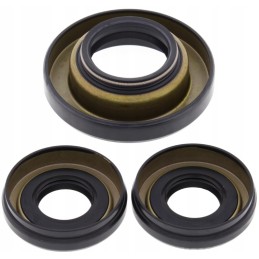 Honda Trx 450 Fourtr differential repair kit