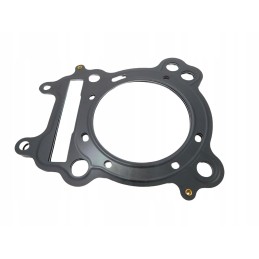 Gasket seal tgb blade 325 head oem 923616