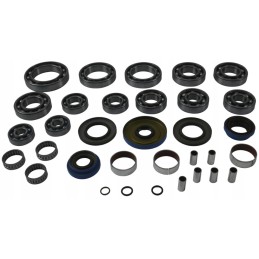 Polaris RZR 570 differential repair kit