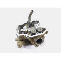 Top head Kawasaki KVF 650 Brute Force 11008 0030