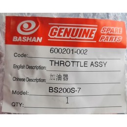 ATV Bashan Eagle throttle