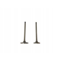 Intake and exhaust valve atv bashan 250 set