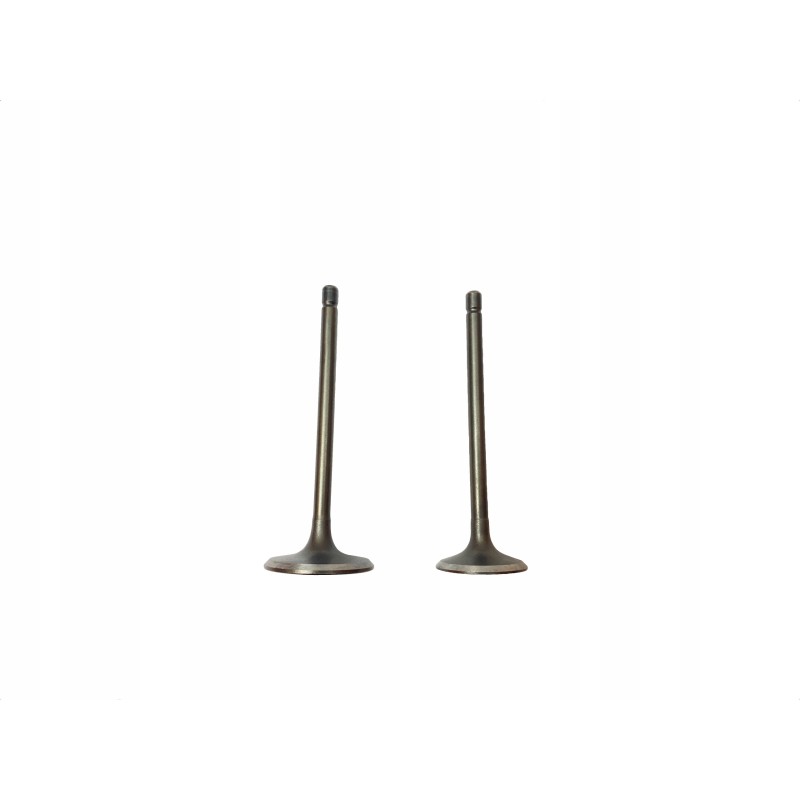 Intake and exhaust valve atv bashan 250 set