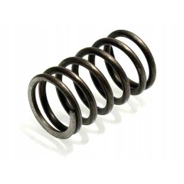 The basket spring clutched the rhombus