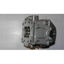 Cf moto 500 allroad head new goes 520