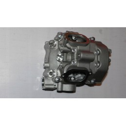 Cf moto 500 allroad head new goes 520