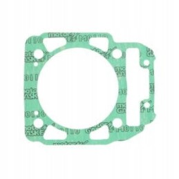 Can am outlander renegade cylinder gasket