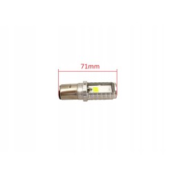 BA20D 30W two-filament LED bulb