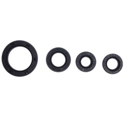 Quad kinroad atv 200 loncin crankshaft oil seals set