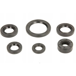 A set of seals for ATV Cab 110 50cc