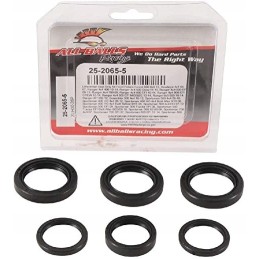 Yamaha Big Bear Kodiak differential seals