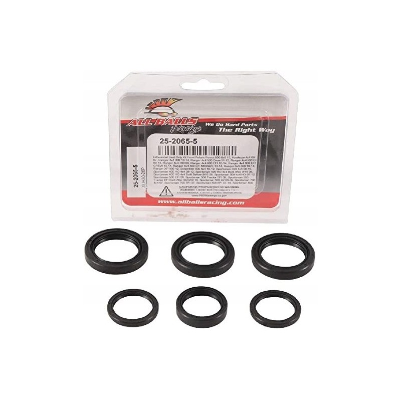 Yamaha Big Bear Kodiak differential seals