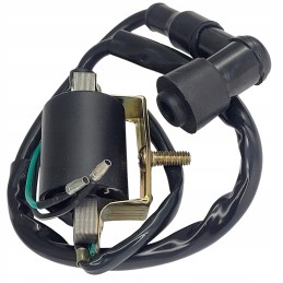 Magneto stator stator module coil spark plug atv quad 4t 110 125