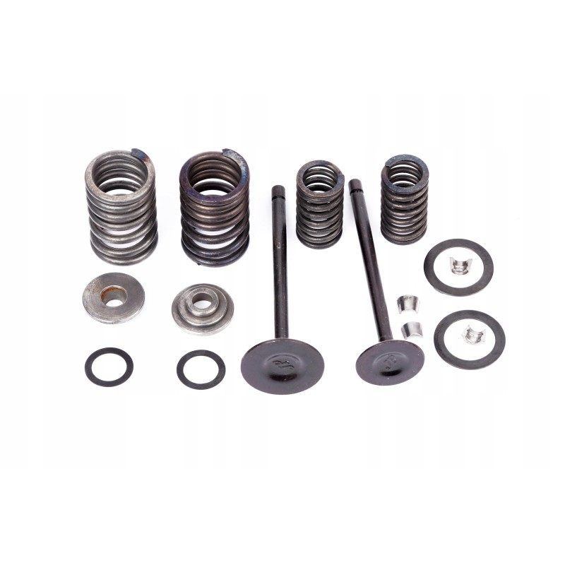 Spring valves, Chinese cross, atv, quads, 30 25 units