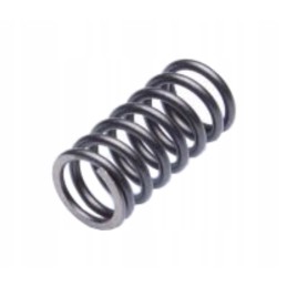 Atv quad shineray 250 stxe 4t clutch spring
