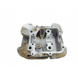 Gora head Polaris Magnum 330 03 06 3089270