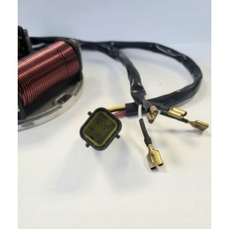 Stator magneto 2 ATV coils
