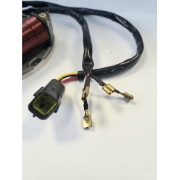 Stator magneto 2 ATV coils