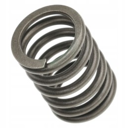 Valve spring for atv quad linhai cf allroad 300