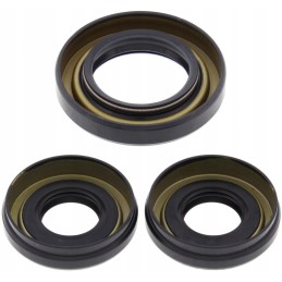 Honda trx 300 fourtr differential repair kit