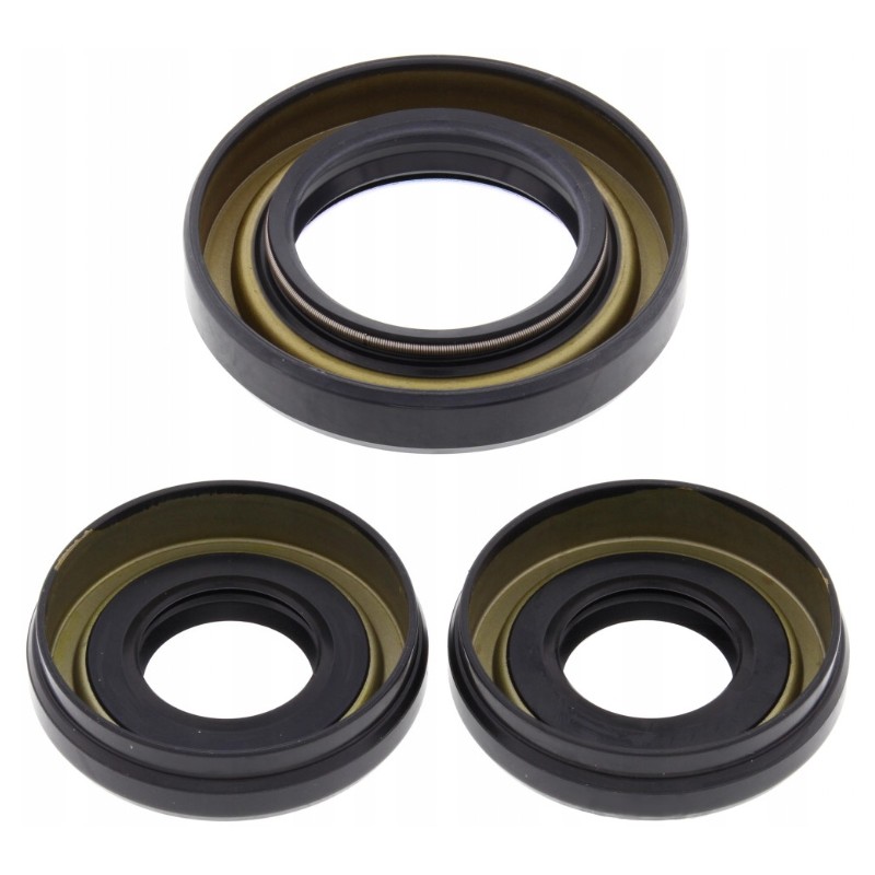 Honda trx 300 fourtr differential repair kit