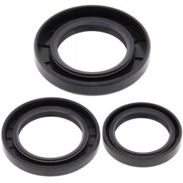 Kawasaki KLF 300 differential repair kit