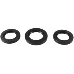 Kawasaki KLF 300 differential repair kit